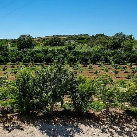 Quinta Do Pomarinho With Private Pool