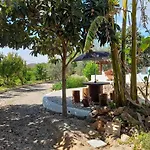 Quinta Do Pomarinho With Private Pool 别墅 塔维拉